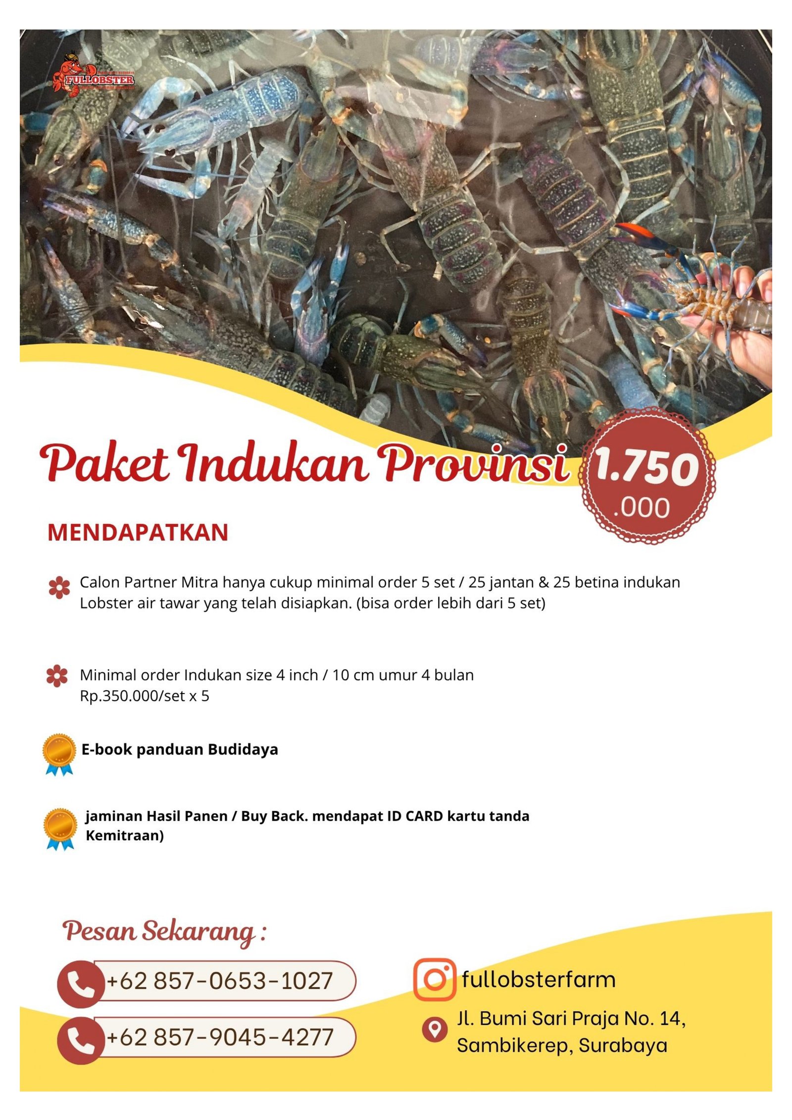 Paket Indukan Provinsi