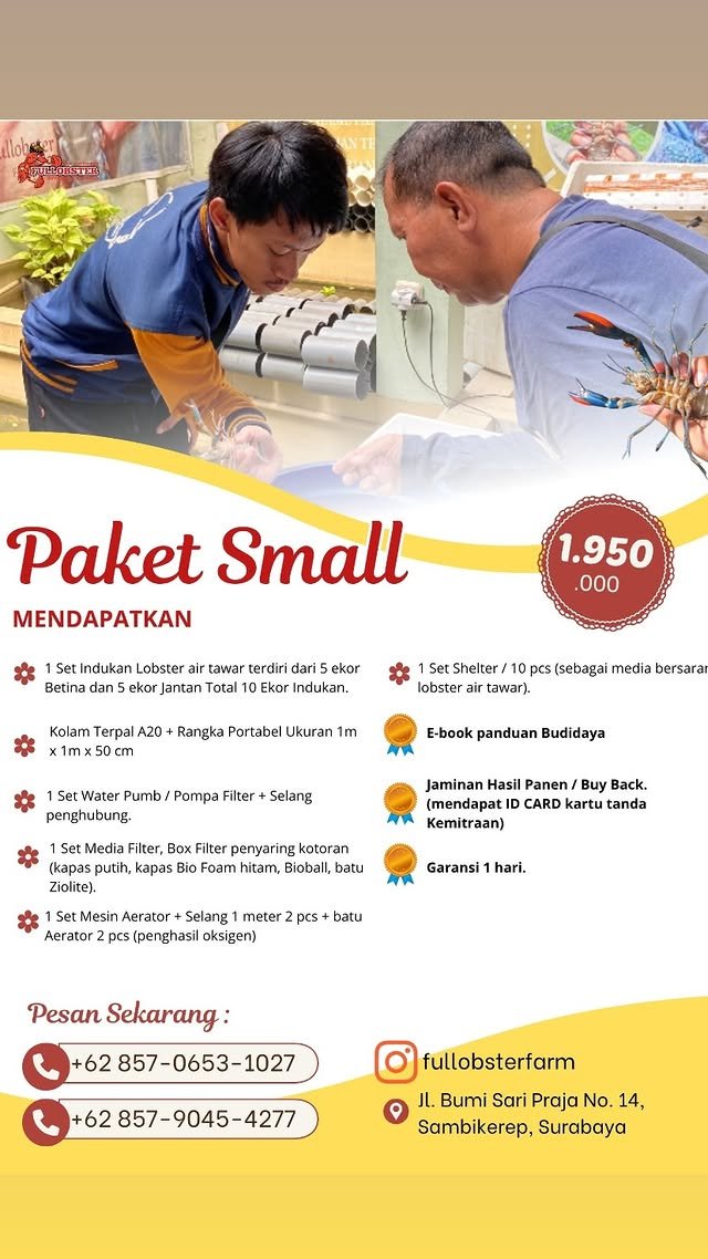 Paket Small